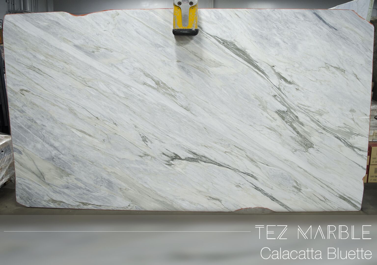 Calacatta Bluette | Tez Marble