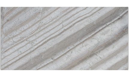 Corteccia