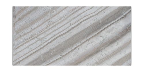 Corteccia