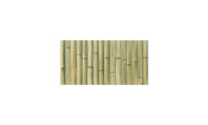 Bamboo Haven Matcha Green