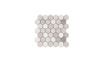 Tundra Grey Marble Hexagon 2″ Multi