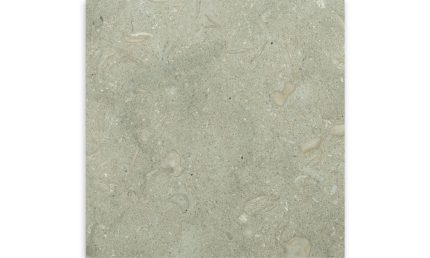 Seagrass Limestone Tile Medium