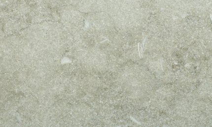 Seagrass Limestone Tile Long